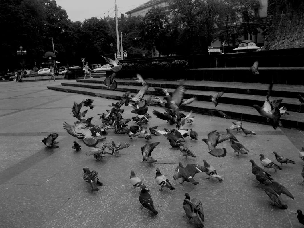 ... ����� nika voinova �� PhotoGeek.ru #�������� ���