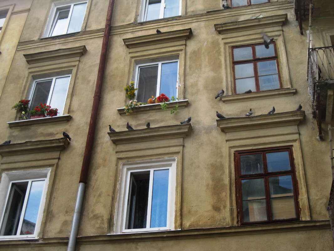 ... ����� nika voinova �� PhotoGeek.ru #�����