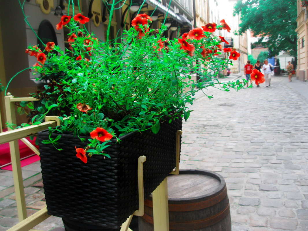 ... ����� nika voinova �� PhotoGeek.ru #������ ��� �������