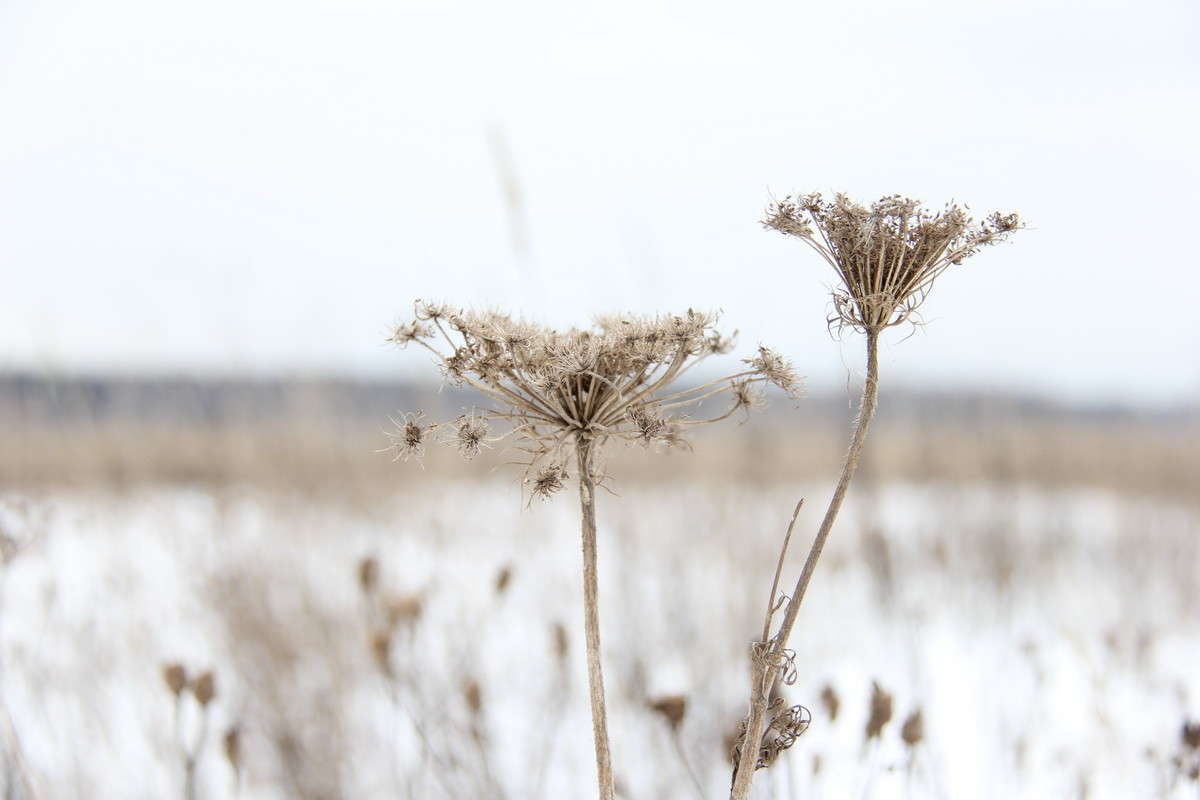 *** ����� ������  �� PhotoGeek.ru #������ ��� �������