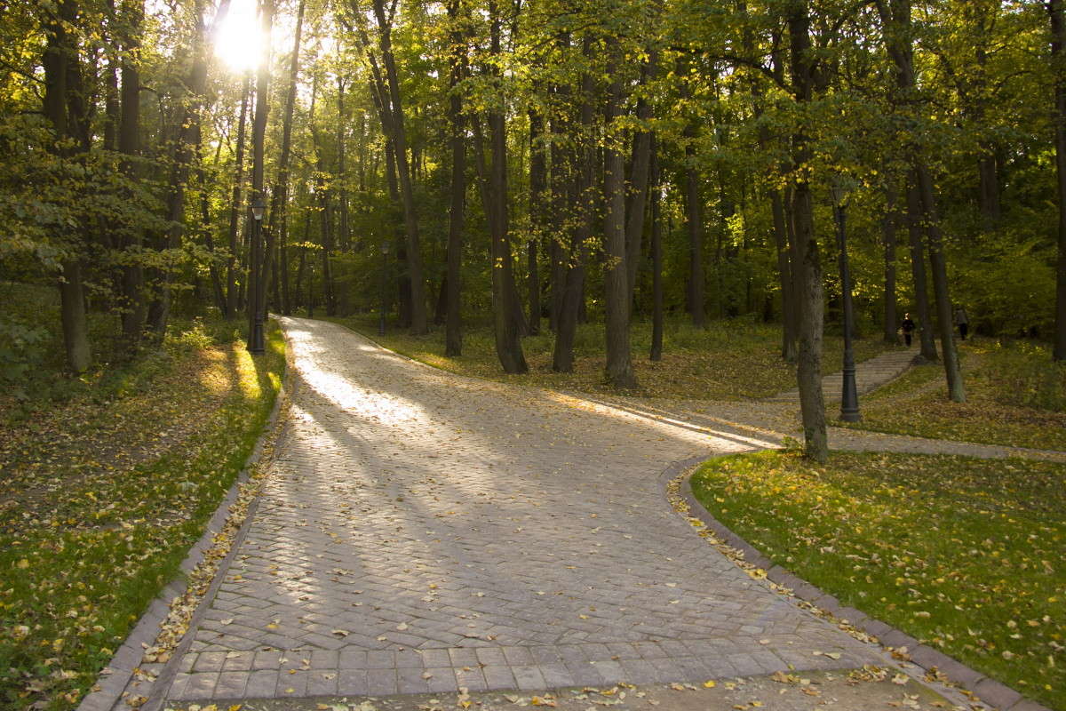 ���� ����� ������  �� PhotoGeek.ru #������ ��� �������