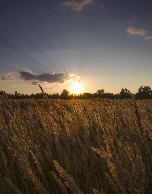 �� ������ ����� ������  �� PhotoGeek.ru #������ ��� �������