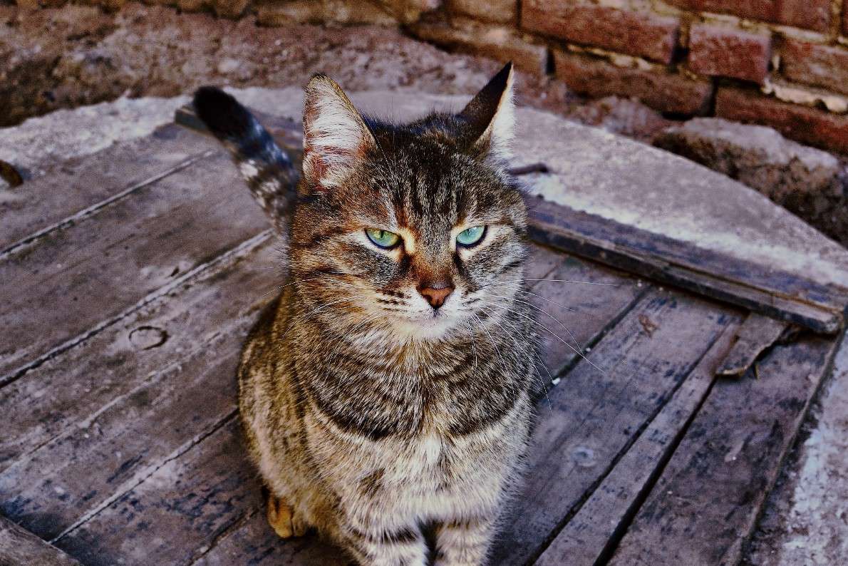 ���� ����� �������  ���������� �� PhotoGeek.ru #�������� ���