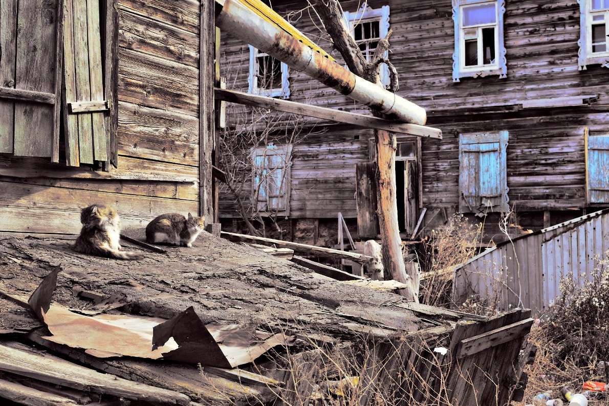 ... ����� �������  ���������� �� PhotoGeek.ru #�����