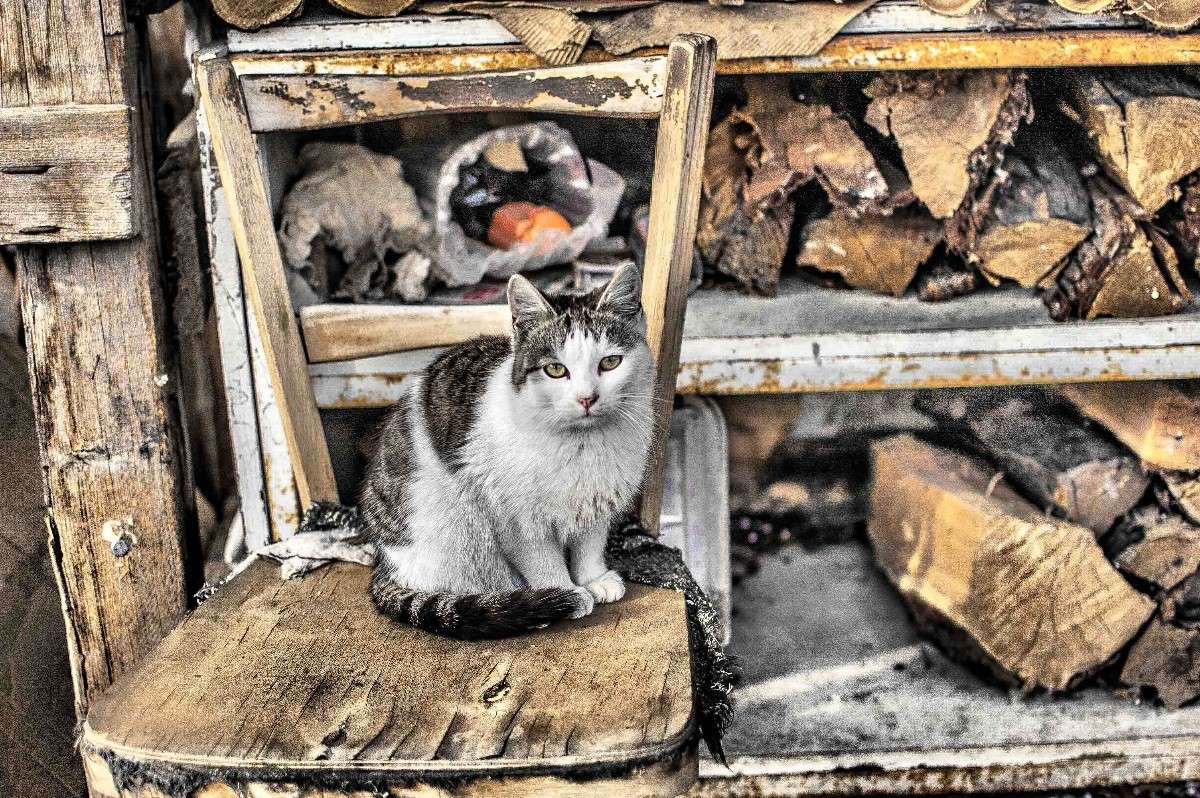 ... ����� �������  ���������� �� PhotoGeek.ru #�������� ���