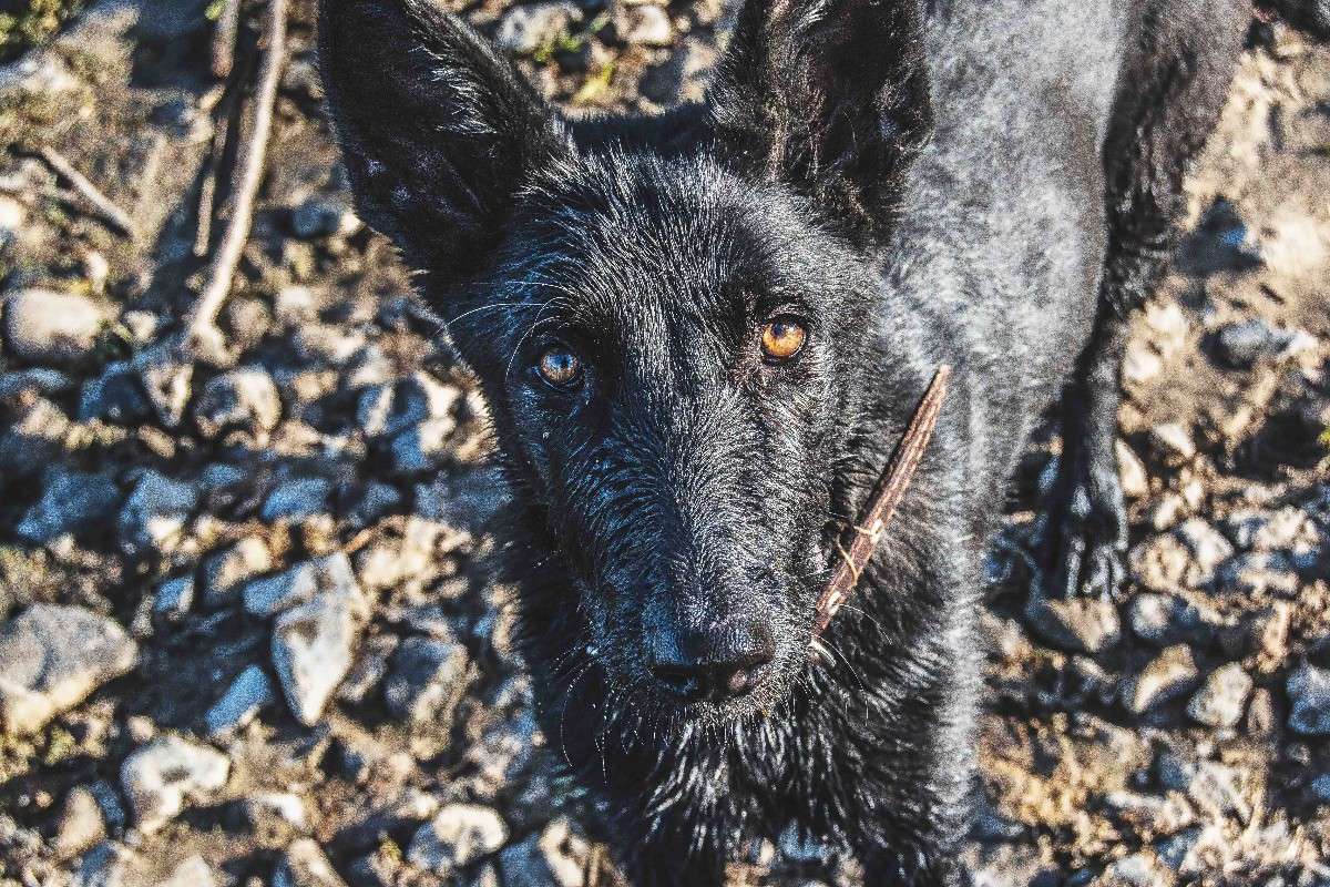 ... ����� �������  ���������� �� PhotoGeek.ru #�������� ���