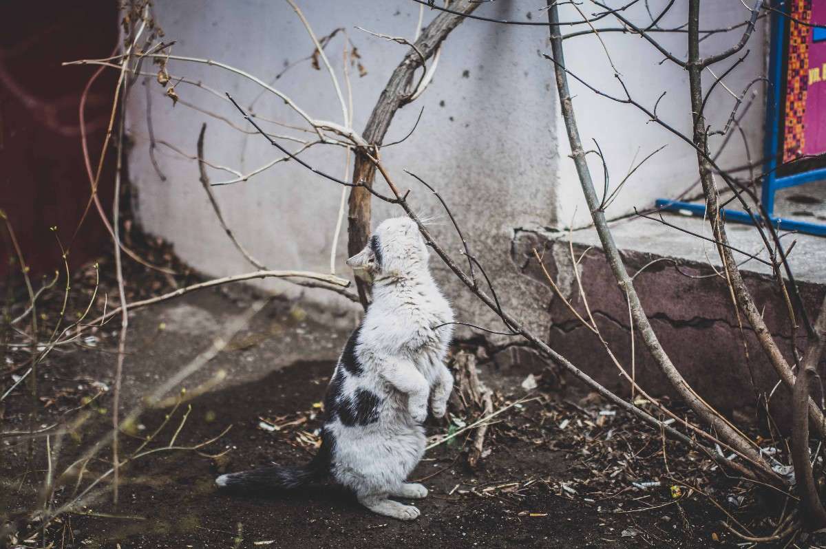 ... ����� �������  ���������� �� PhotoGeek.ru #�������� ���