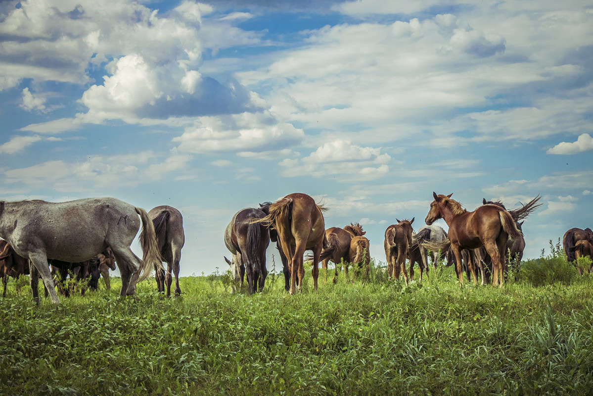 ... ����� �������  ���������� �� PhotoGeek.ru #�������� ��� #������ ��� �������