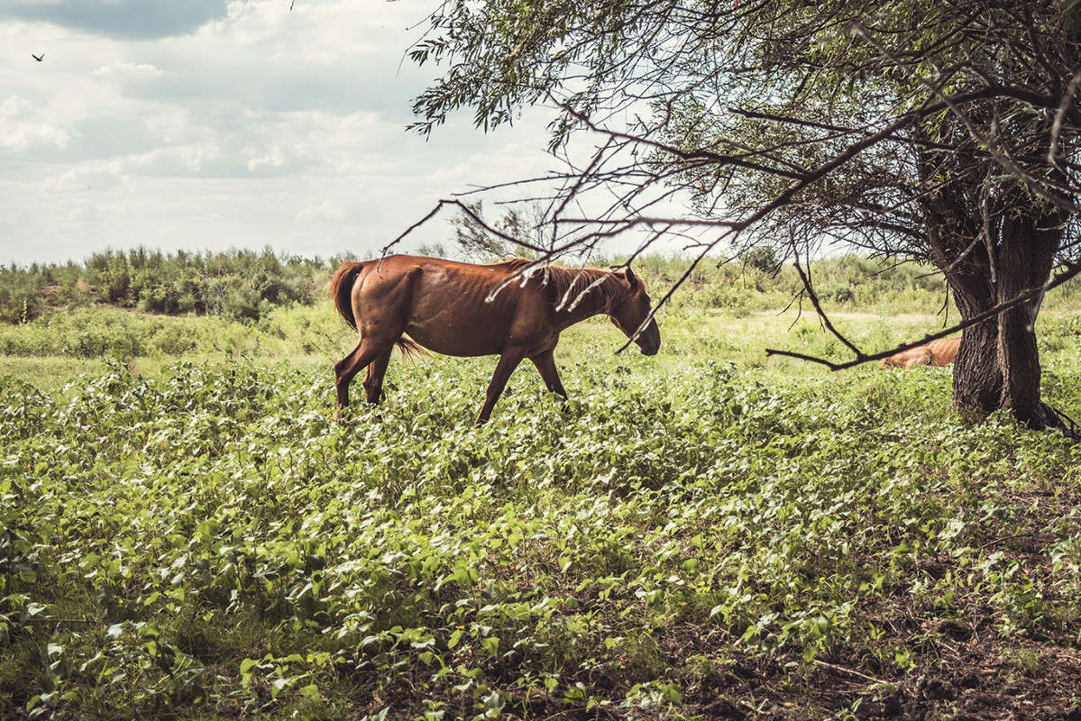 ... ����� �������  ���������� �� PhotoGeek.ru #�������� ��� #������ ��� �������