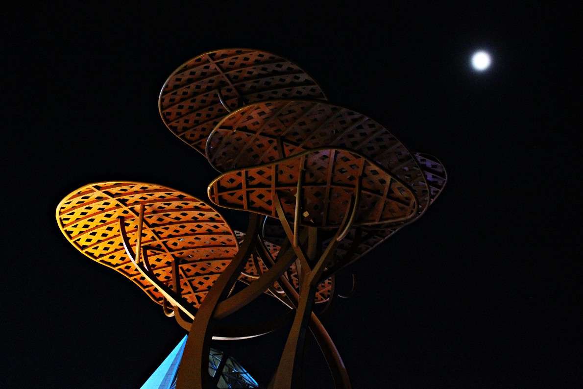 ��� �������� ���-�� �� ��� ���� ����� Dmitry  �� PhotoGeek.ru #����������� #���������� #������