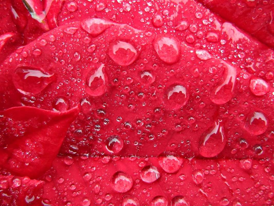 ... ����� Dmitry  �� PhotoGeek.ru #����� #����� ��������������