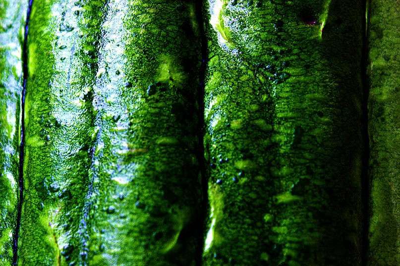 ����� ����� ����� Dmitry  �� PhotoGeek.ru #����� #����������