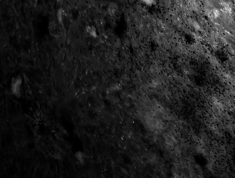 ��� ����������. ����� ���������. ����� Dmitry  �� PhotoGeek.ru #����� #���������� #�����-�����