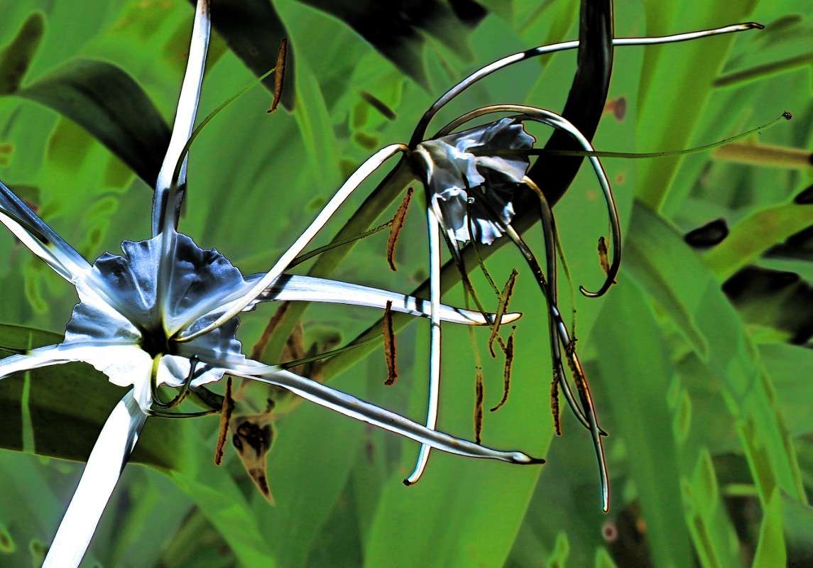 ������������� ����� Dmitry  �� PhotoGeek.ru #����� #���-����������� #����� ��������������