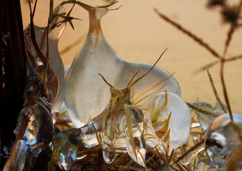 ... ����� Dmitry  �� PhotoGeek.ru #�����