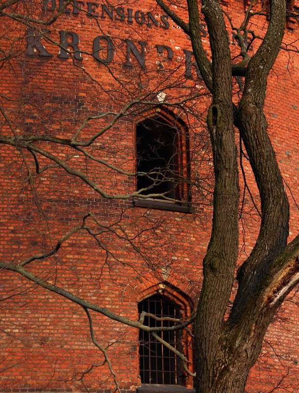 ��������� ����� Dmitry  �� PhotoGeek.ru #����� #����������� #������ ������