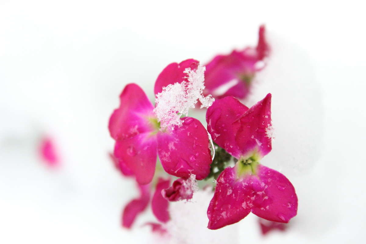 ... ����� Dmitry  �� PhotoGeek.ru #����� #����� �������������� #������� #�����