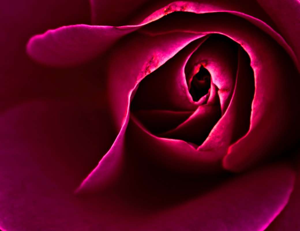 ... ����� Dmitry  �� PhotoGeek.ru #����� #��������� #���������� #���-�����������