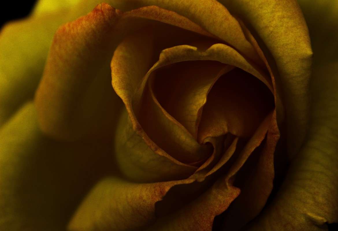 ... ����� Dmitry  �� PhotoGeek.ru #����� #��������� #���������� #����� ��������������