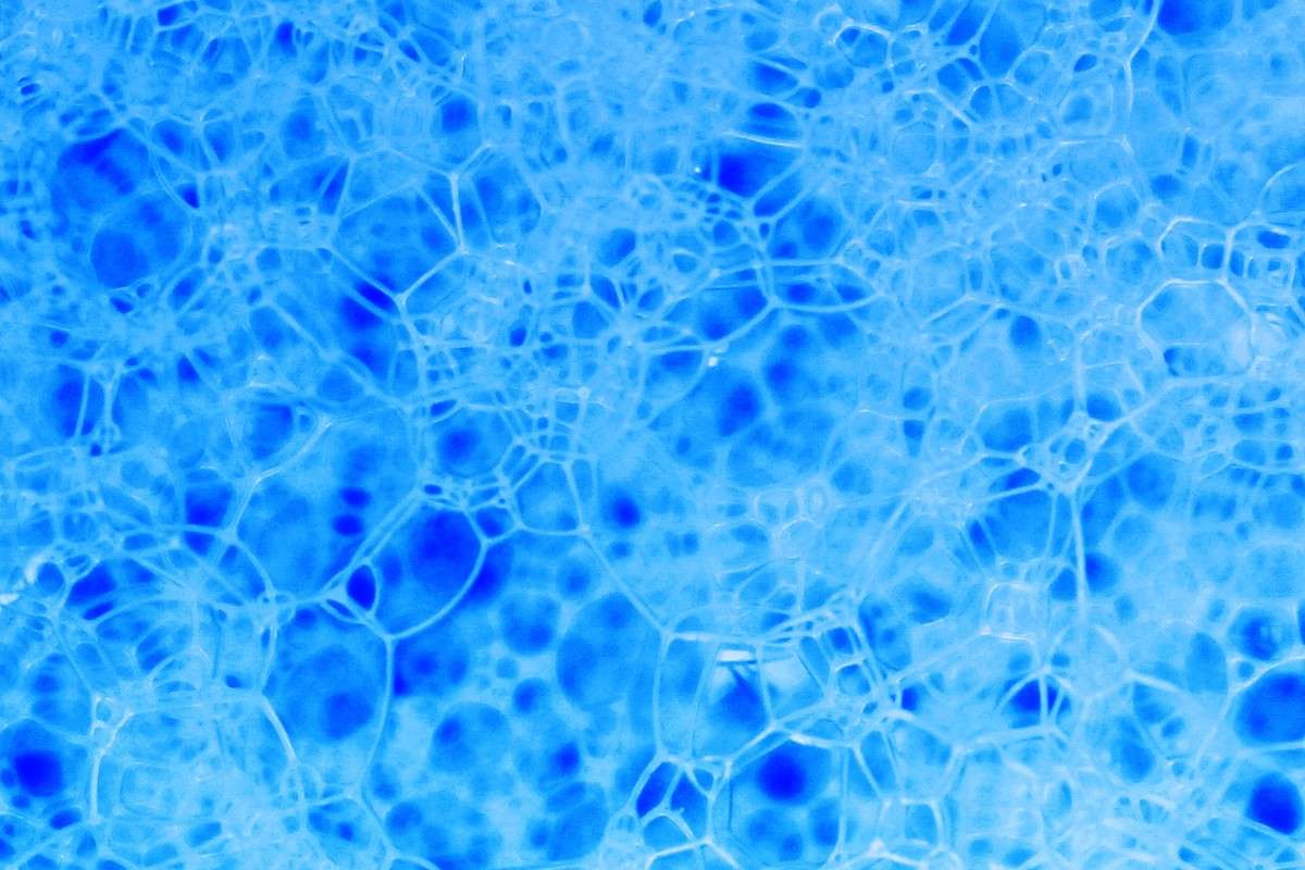 Macrofoam-2 ����� Dmitry  �� PhotoGeek.ru #����� #����������