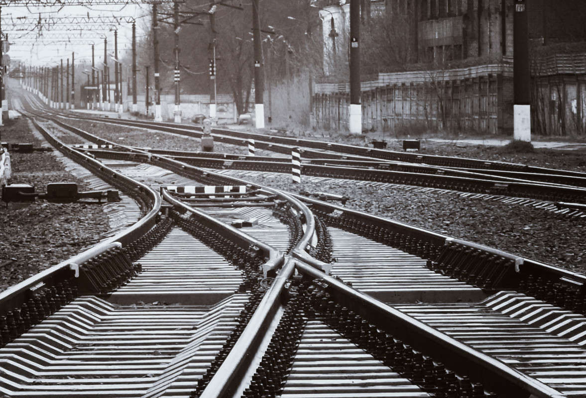 *** ����� svetlana gracheva �� PhotoGeek.ru #����� #�������� ����������