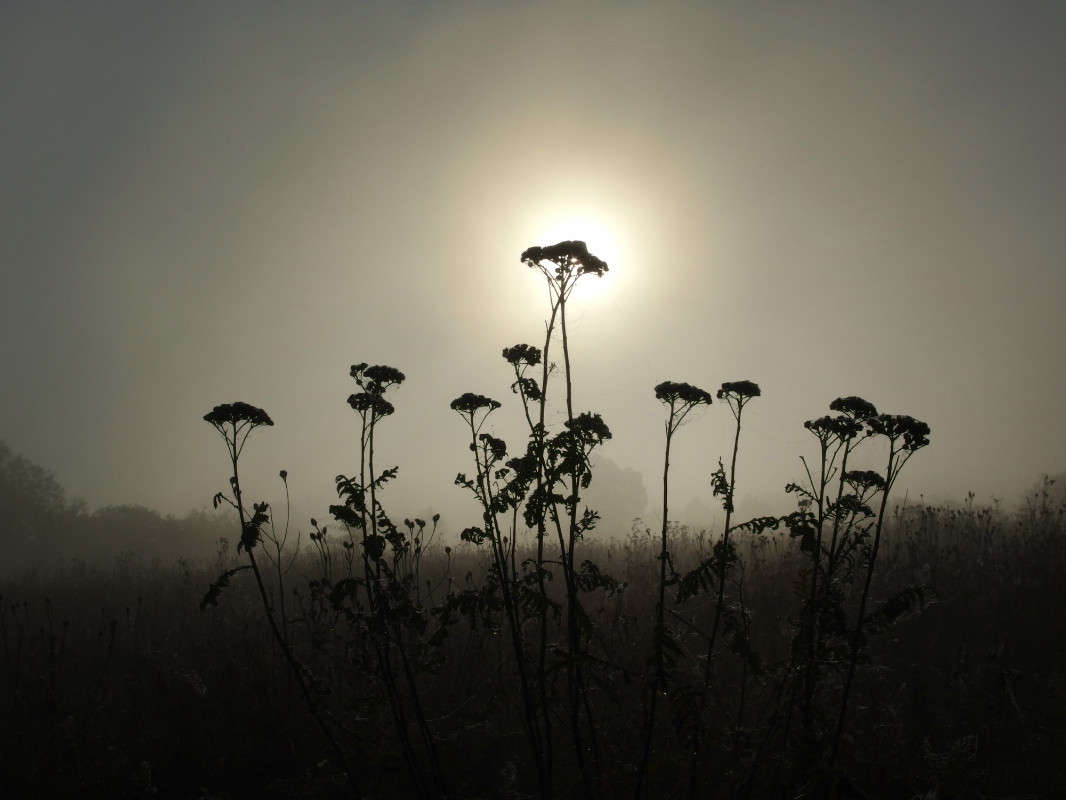 � ������ ����� svetlana gracheva �� PhotoGeek.ru #������ ��� �������
