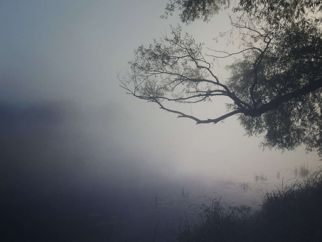 ����� ���� ����� svetlana gracheva �� PhotoGeek.ru #������ ��� �������