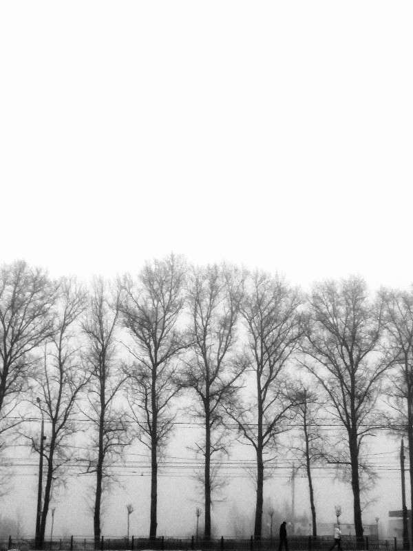 *** ����� svetlana gracheva �� PhotoGeek.ru #����� #������ ��� ������� #�����-�����