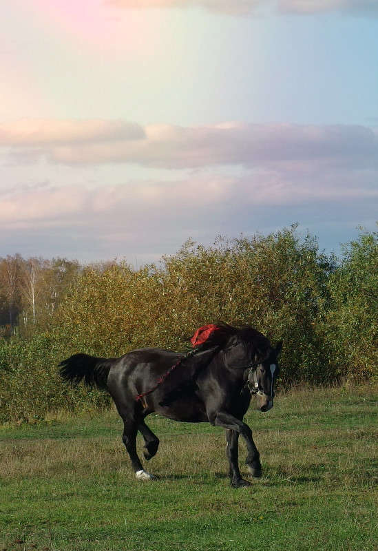 *** ����� svetlana gracheva �� PhotoGeek.ru #�������� ��� #������ ��� �������