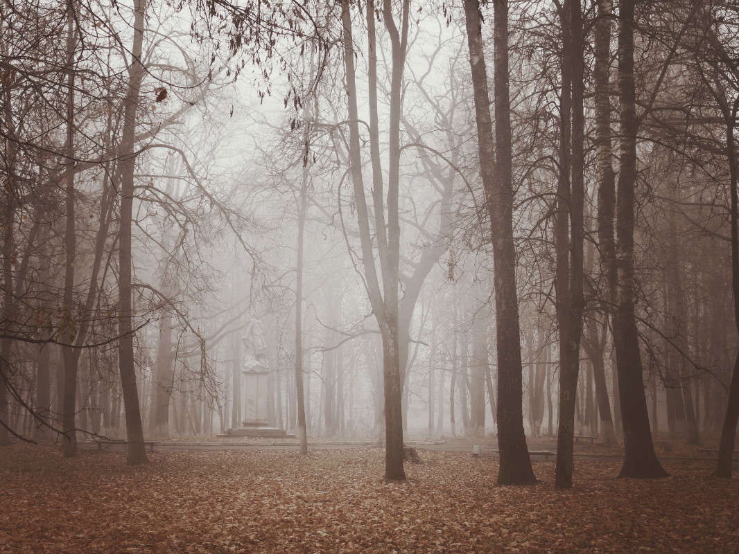 �����, ���� ����� svetlana gracheva �� PhotoGeek.ru #����� #������ ��� �������