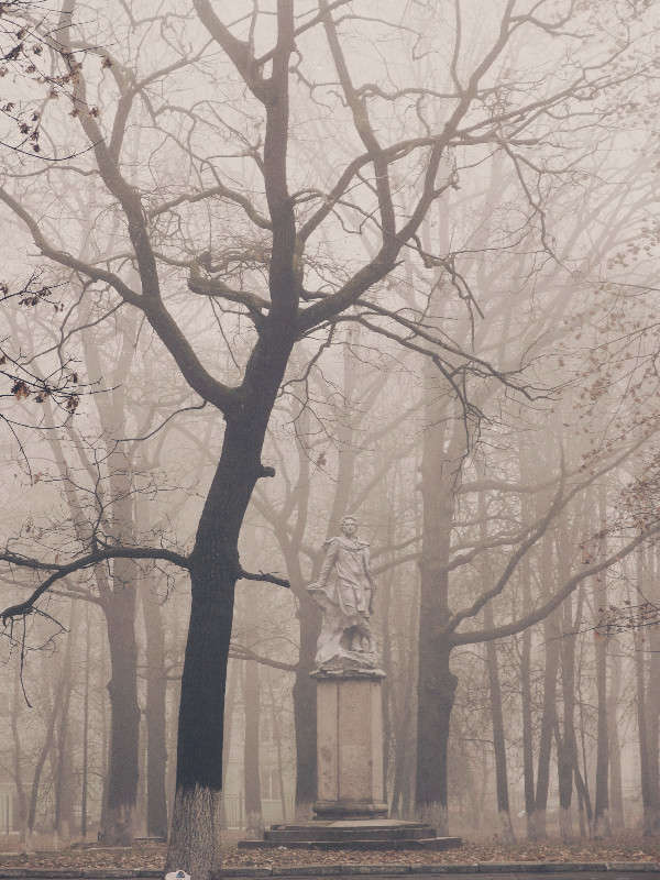 ����� ����� svetlana gracheva �� PhotoGeek.ru #����� #������ ��� �������