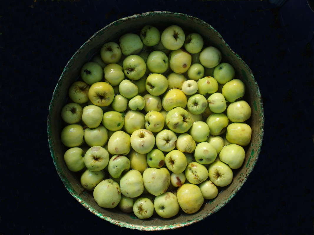 *** ����� svetlana gracheva �� PhotoGeek.ru #��������� #���������������