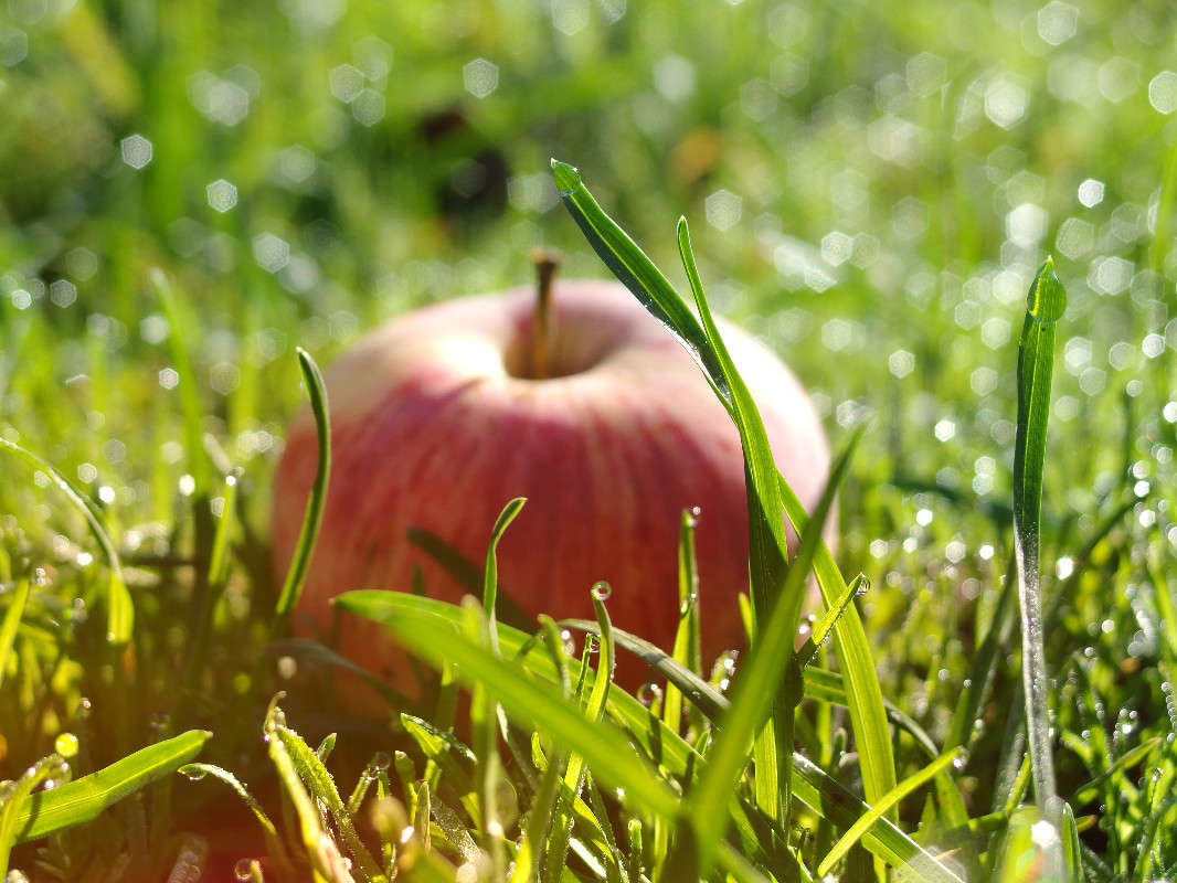 ���� ����� svetlana gracheva �� PhotoGeek.ru #����� #����� ��������������