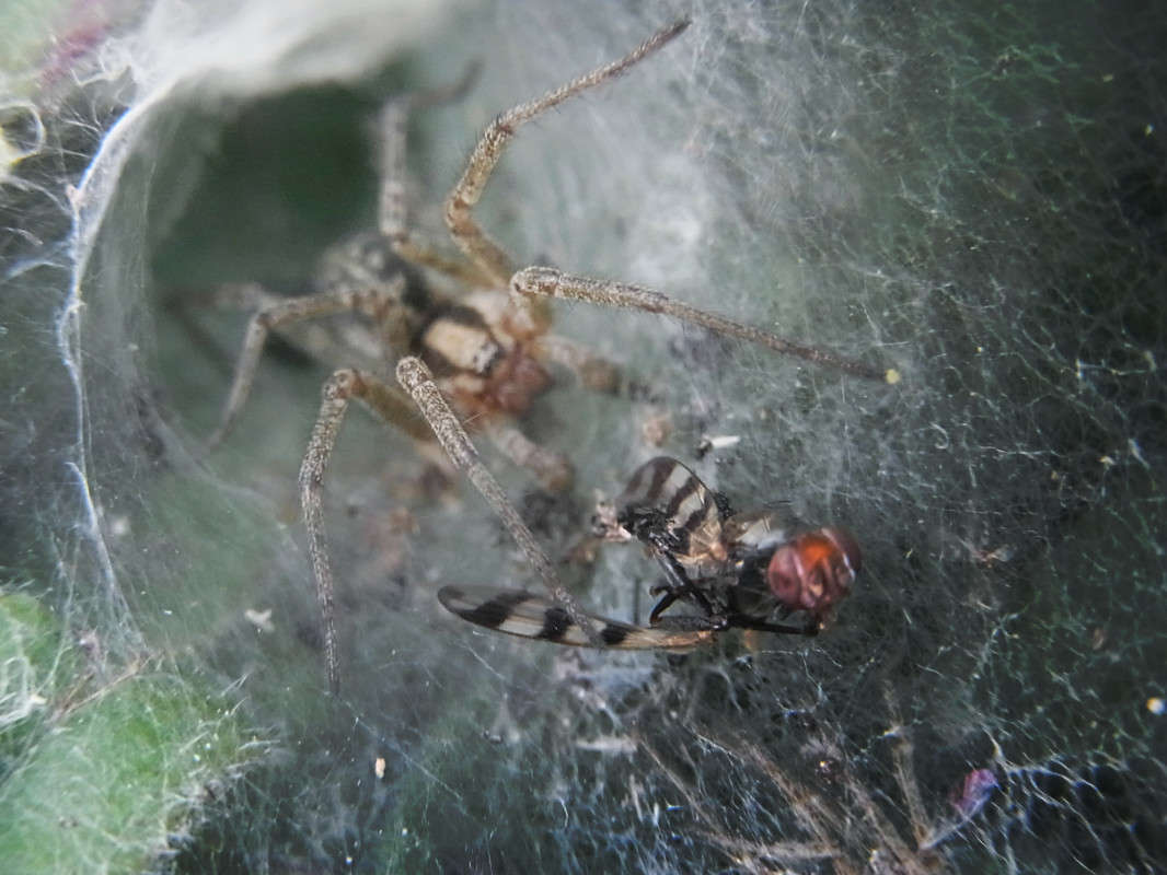 *** ����� svetlana gracheva �� PhotoGeek.ru