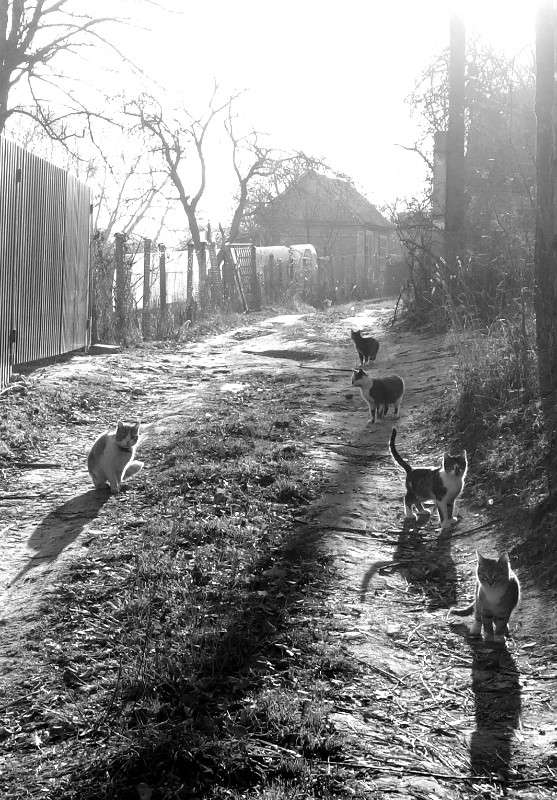 *** ����� svetlana gracheva �� PhotoGeek.ru #�������� ���