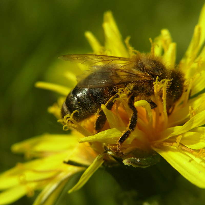 *** ����� svetlana gracheva �� PhotoGeek.ru #����� #����� �������������� #���������