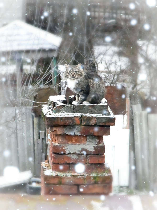 ��������� 2 ����� svetlana gracheva �� PhotoGeek.ru #����� #�������� ���