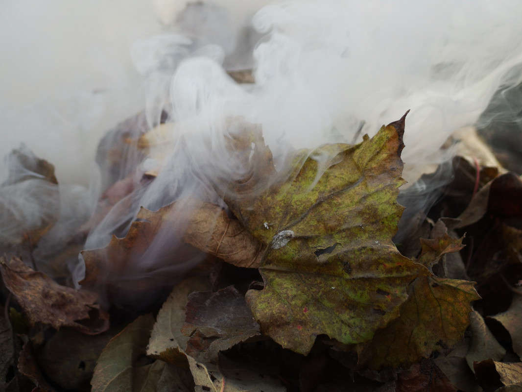 *** ����� svetlana gracheva �� PhotoGeek.ru #�����