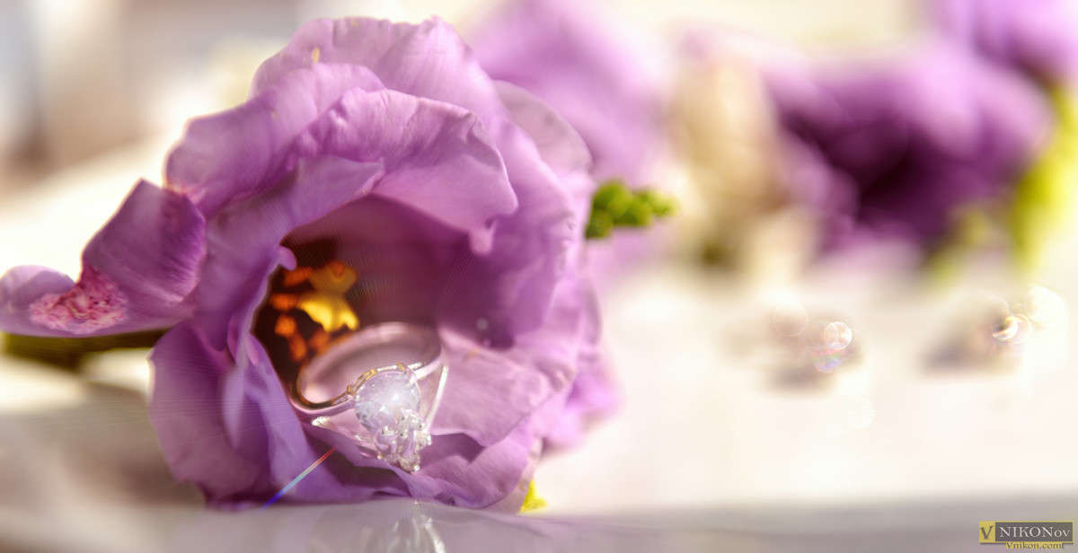 ... ����� ����� ������� �� PhotoGeek.ru #��������� ����������