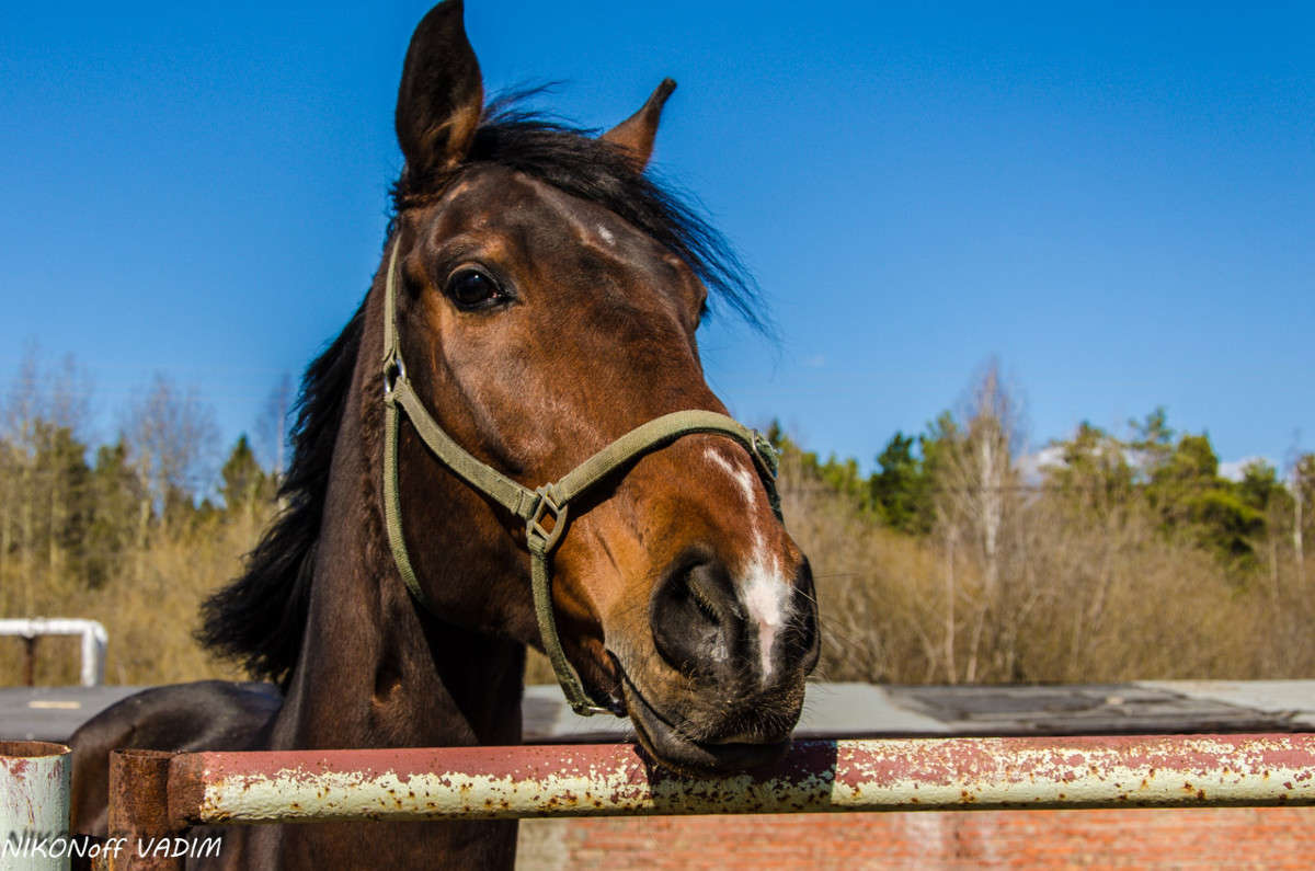 ... ����� ����� ������� �� PhotoGeek.ru #�������� ���