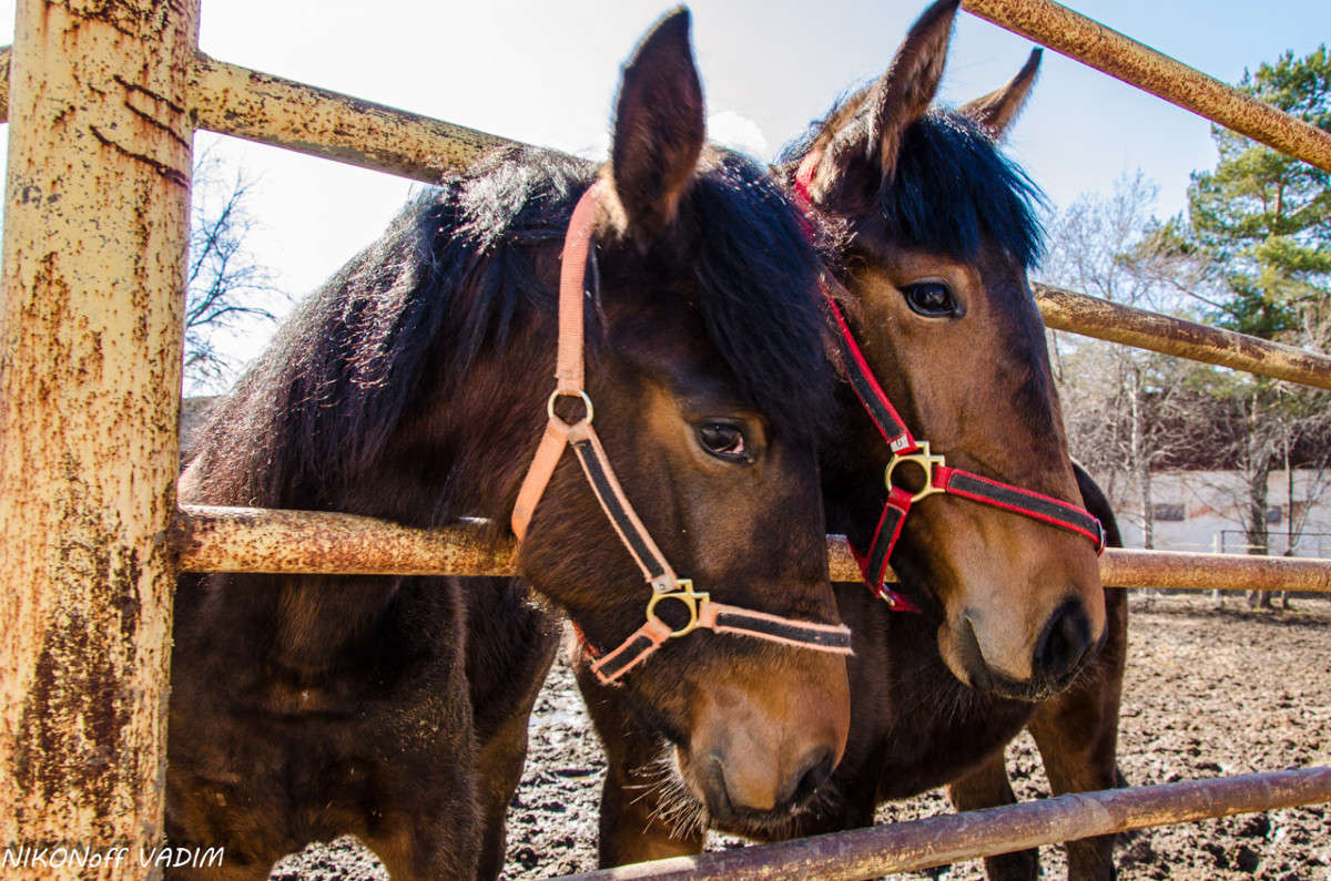 ... ����� ����� ������� �� PhotoGeek.ru #�������� ���