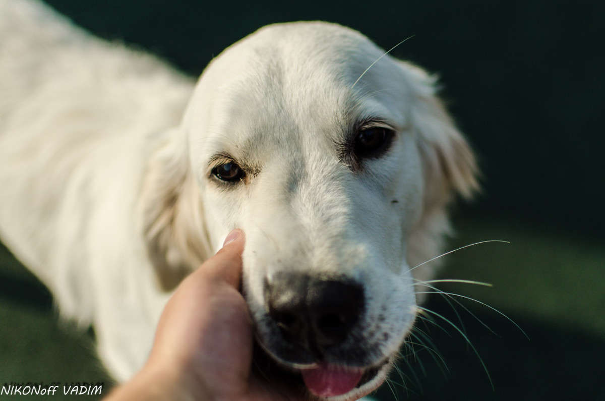 ... ����� ����� ������� �� PhotoGeek.ru #�������� ���