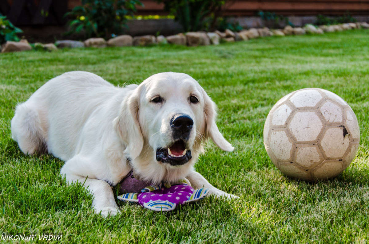 ... ����� ����� ������� �� PhotoGeek.ru #�������� ���