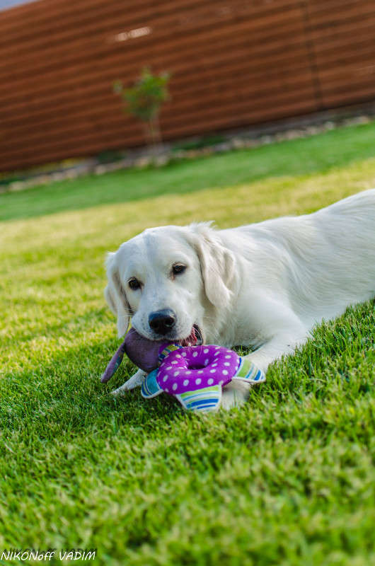 ... ����� ����� ������� �� PhotoGeek.ru #�������� ���