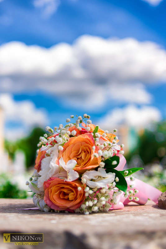 ... ����� ����� ������� �� PhotoGeek.ru #��������� ����������