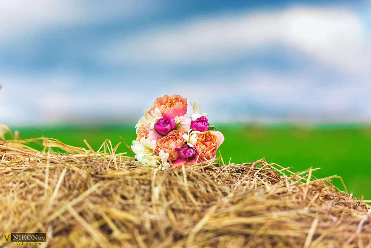 ... ����� ����� ������� �� PhotoGeek.ru #��������� ����������