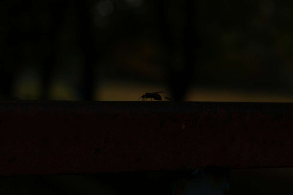 .. ����� ����� �������� �� PhotoGeek.ru #�����