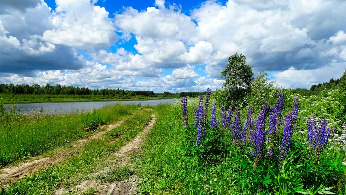 Фото картинки июнь