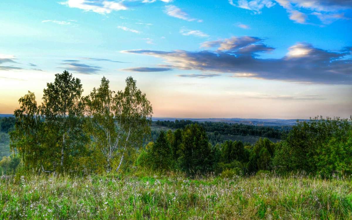 Сибирская Тайга Новосибирск