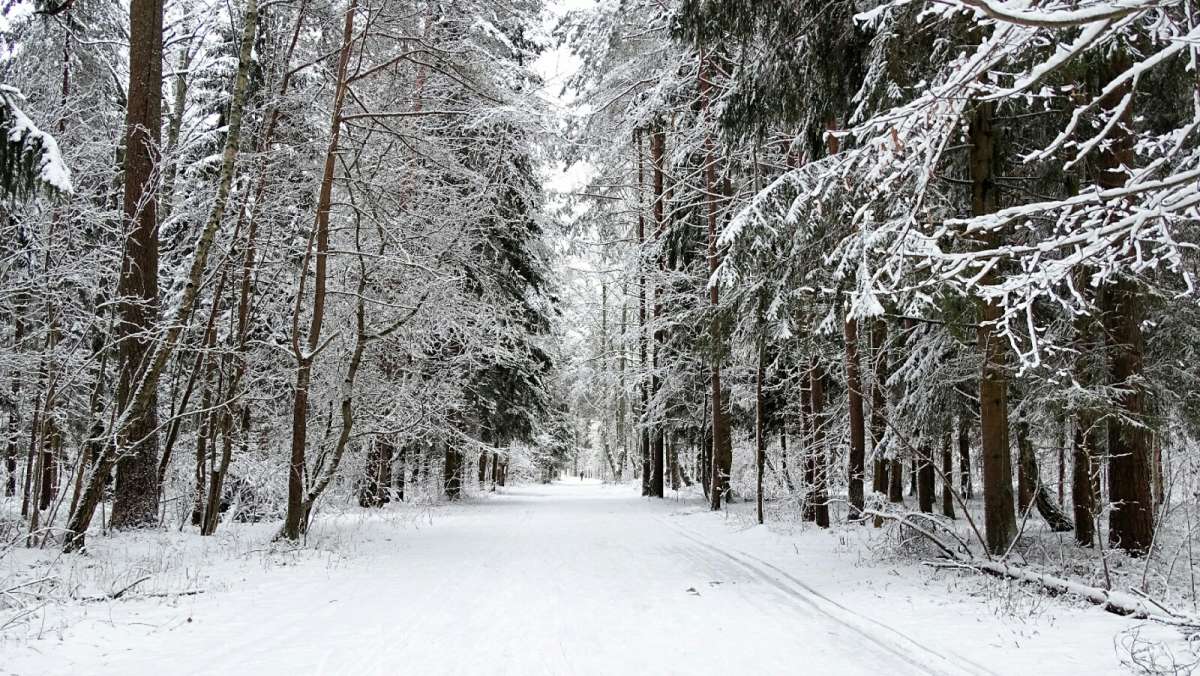 Таким нам запомнится  январь. автор Владимир Милешкин на PhotoGeek.ru #Пейзаж или природа